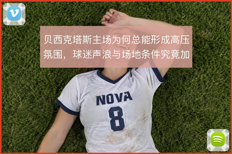 贝西克塔斯主场为何总能形成高压氛围，球迷声浪与场地条件究竟加成多少