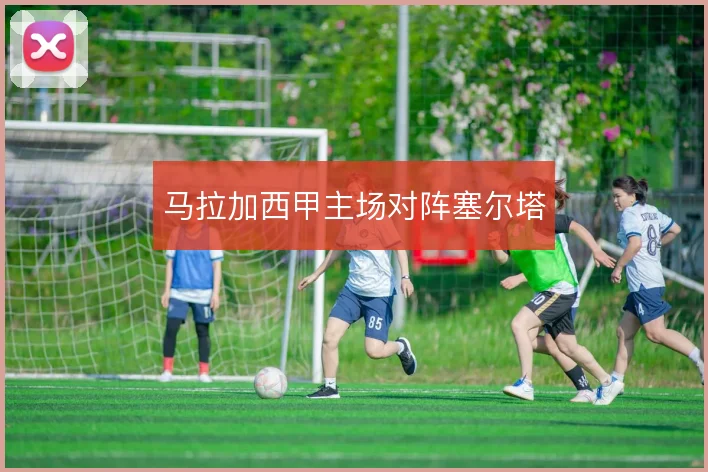 马拉加西甲主场对阵塞尔塔