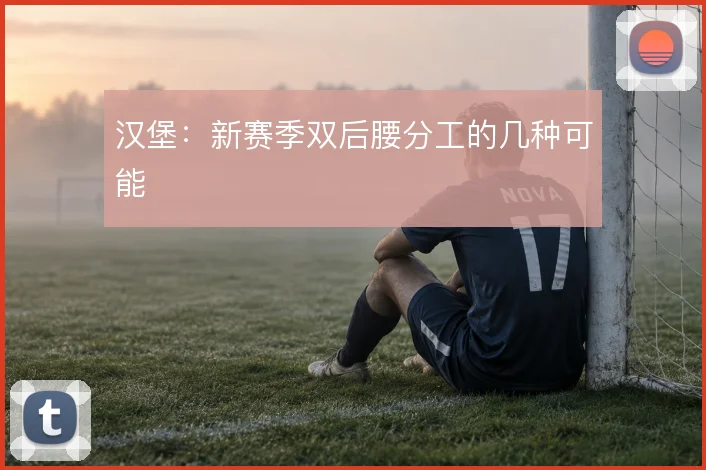 汉堡：新赛季双后腰分工的几种可能