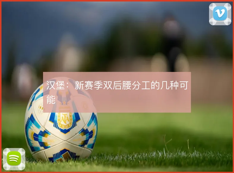 汉堡：新赛季双后腰分工的几种可能